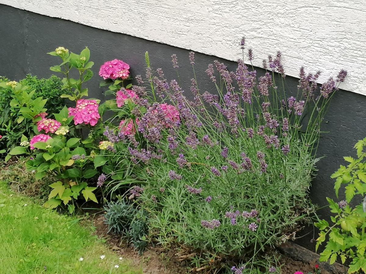 Ferienwohnung Einbeck Fewo B Nolte Zewnętrze zdjęcie