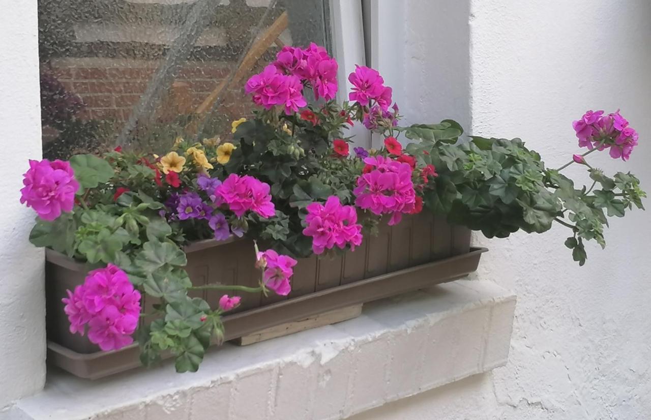 Ferienwohnung Einbeck Fewo B Nolte Zewnętrze zdjęcie