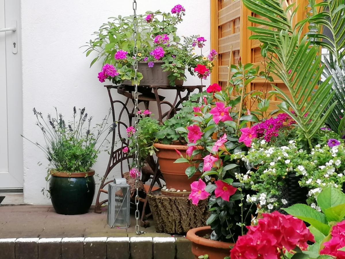 Ferienwohnung Einbeck Fewo B Nolte Zewnętrze zdjęcie